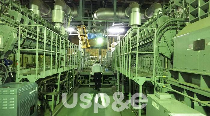 Used 11.88 MW 2006 Used Niigata 18V22AG Natural Gas Power Plant Set