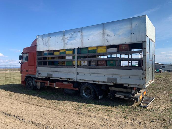 Gebruikt 1998 DAF 95 380 , 4X2 , MANUAL GEAR , EUR 2 !!