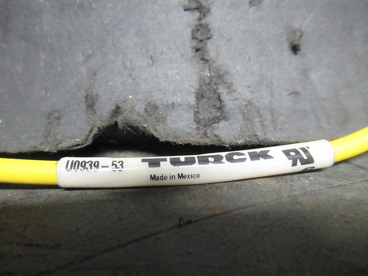 Used TURCK RK4.4T-0.2-PSG4M EUROFAST DUAL-ENDED CORDSET **WARRANTY INCLUDED**