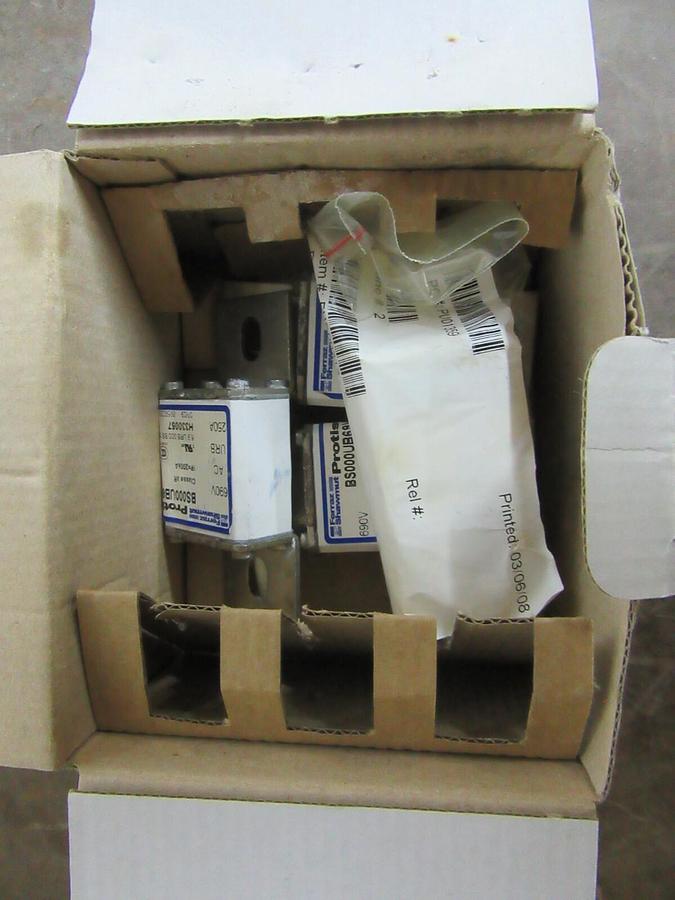 FERRAZ SHAWMUT PROSTITUTOR FUSES BS000UB69V250 250 AMP 690 VAC **NEW SURPLUS**