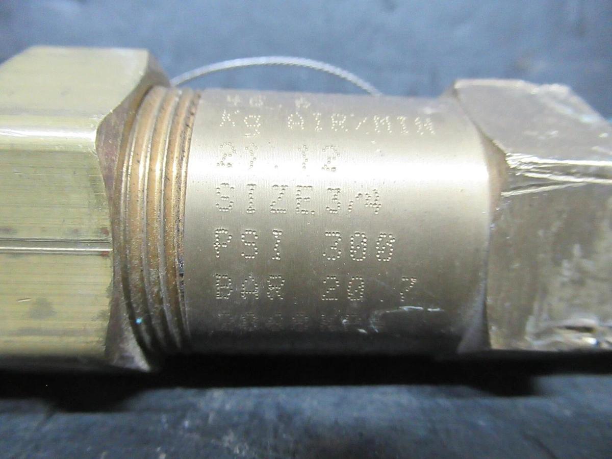 Used EB51FZ-242 / 3045X1-300 RELIEF VALVE 3/4" 300 PSI 20.7 BAR 21.12 kg AIR/SEC