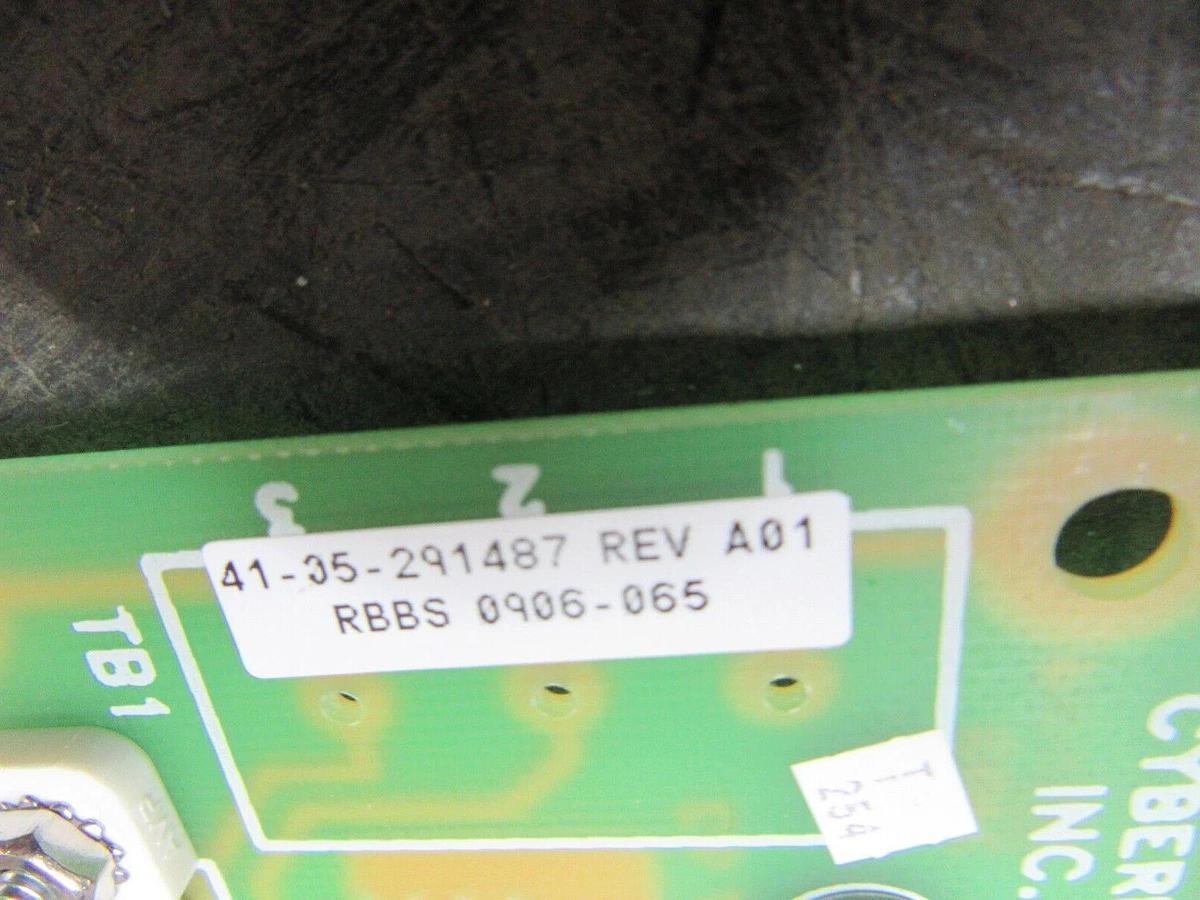 CYBEREX TEMP & AIR FLOW ALARM 41-06-291487 REV. A01 41-25-291487 REV. A01
