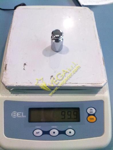 Used Laboratory scale Bel Engineering mod. MARK 6500