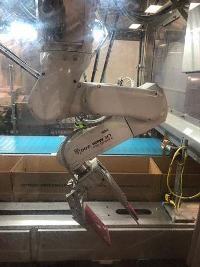 Used 2015 Premier Tech Robotic Packaging Line