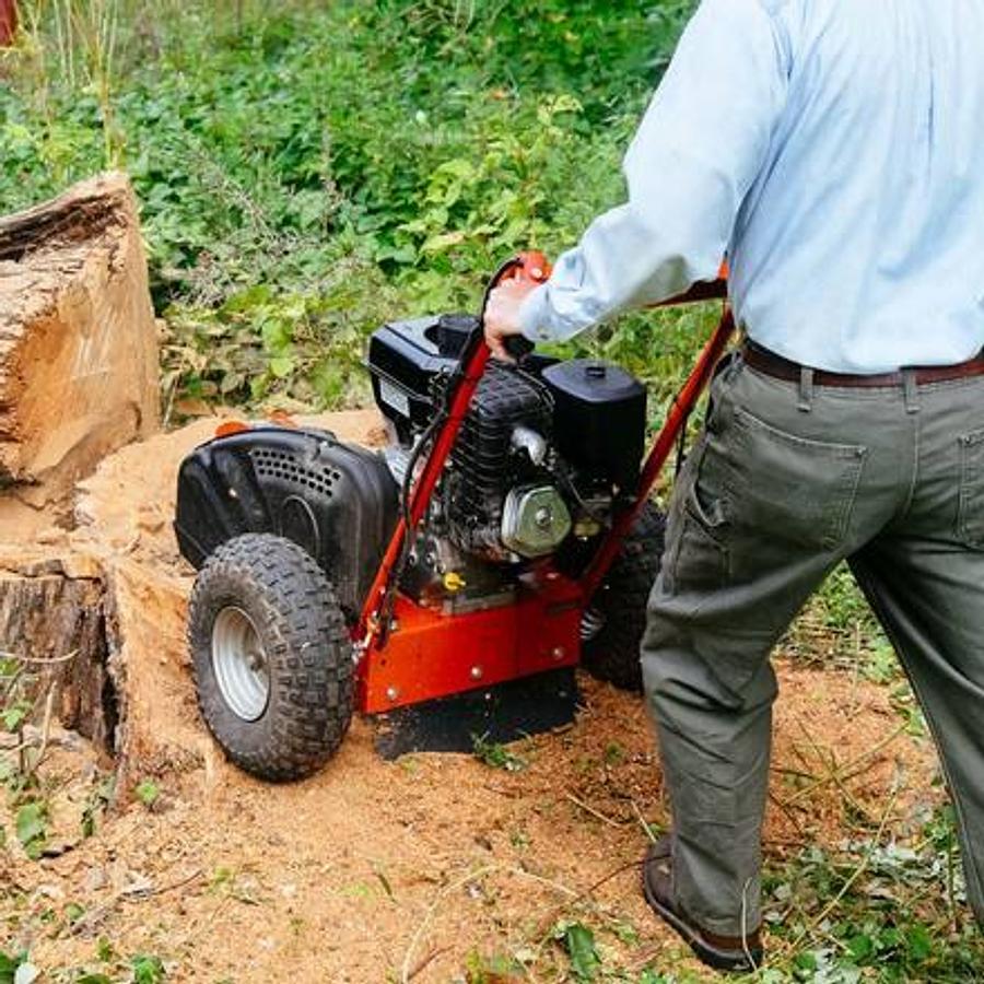 2025 DR Power DR STUMP GRINDER PREMIER 6.6 HP MS