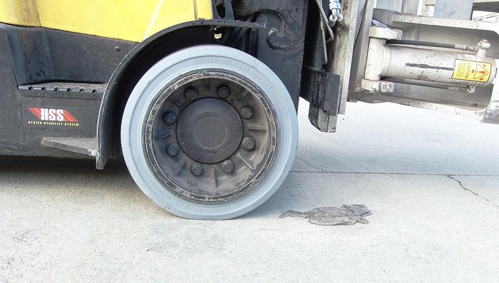 Used 12,000 POUND HYSTER MODEL S120FTPRS LOW MAST ROLL CLAMP FORKLIFT 2018