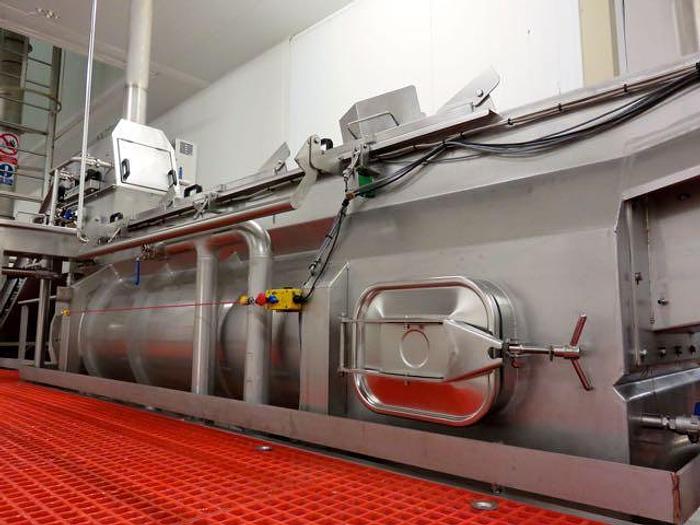 Used DUTCH TECSOURCE VEGETABLE WASHING AND STEAM BLANCHING LINE
