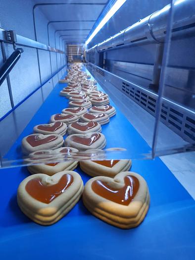 Used 2016 Selmi Cooling Tunnel