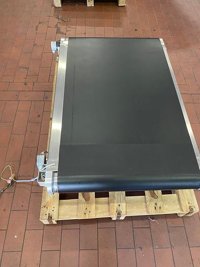 Gebraucht 2002 Transtechnik 110/ 650 Gurtförderer/ Förderband
