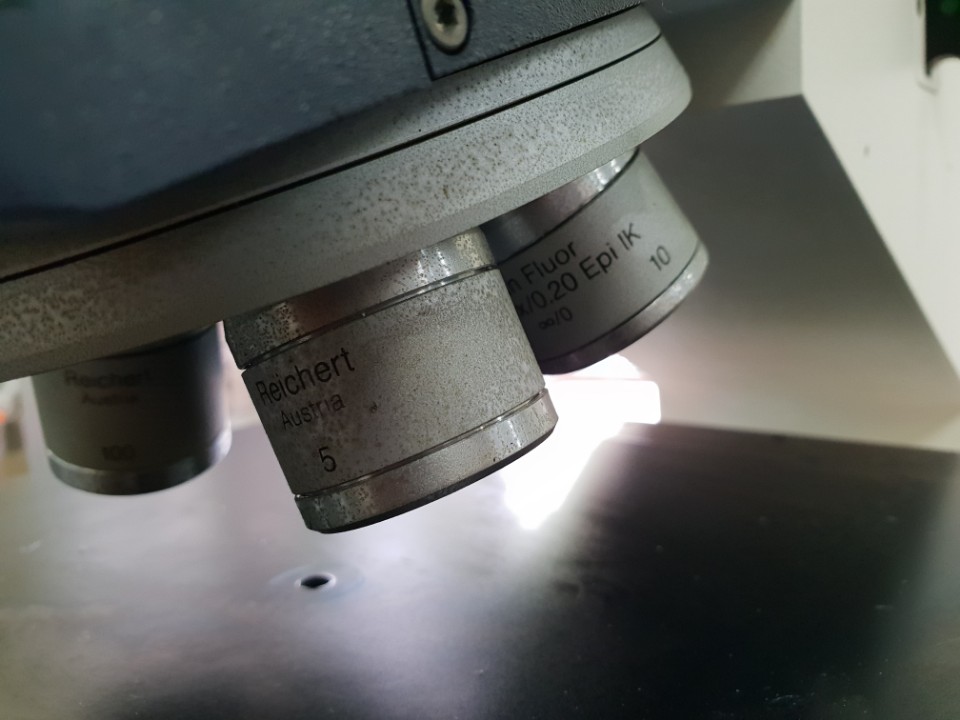 Used Leica Reichert-Tic Polycon Microscope