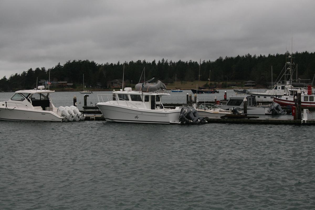 Used 2019 Ocean Sport Roamer 30 #117