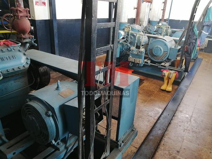 Usado Planta Productora de Maquetas de Hielo