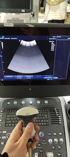 Gebraucht Alpinion SC1-6  Ultraschallsonde
