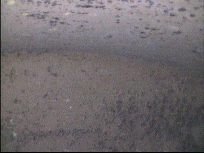 Used NASH CL302 #19384