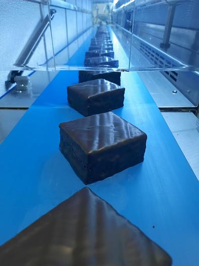 Used 2016 Selmi Cooling Tunnel