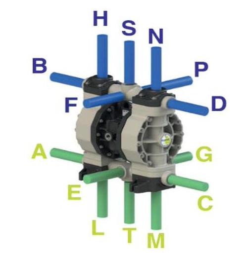 POMPA DA TRAVASO A MEMBRANA PHOENIX P60