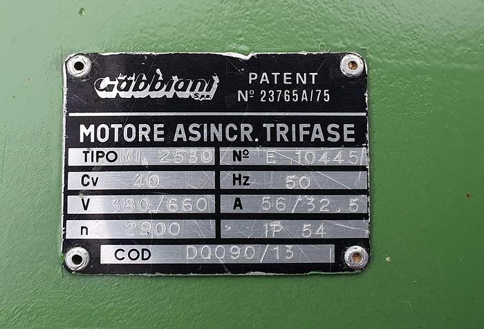 Used 1981 Gabbiani Italy Multiripsaw Gabbiani SA 350
