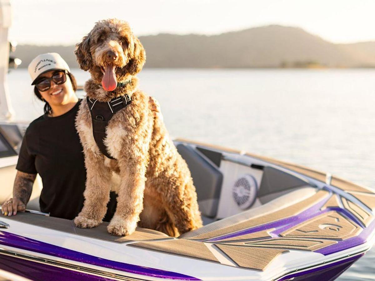 2026 Centurion Nv233 Base