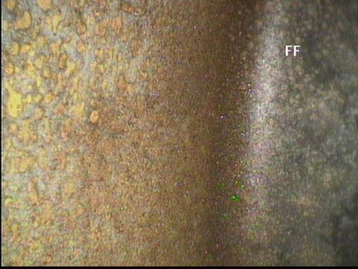 Used NASH CL3001 #19469