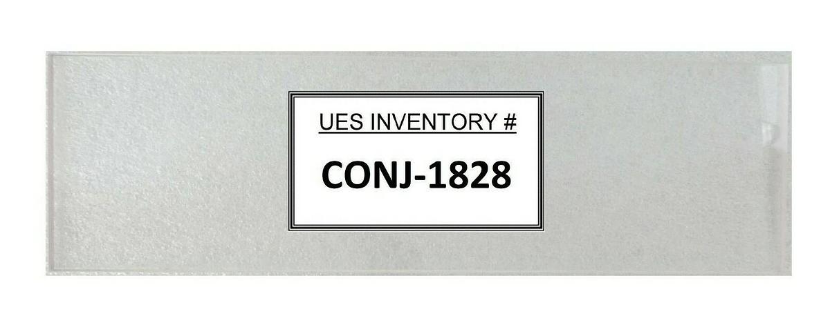Novellus Systems 15-110411-00 Sapphire Window Chamber Concept One Two New Spare
