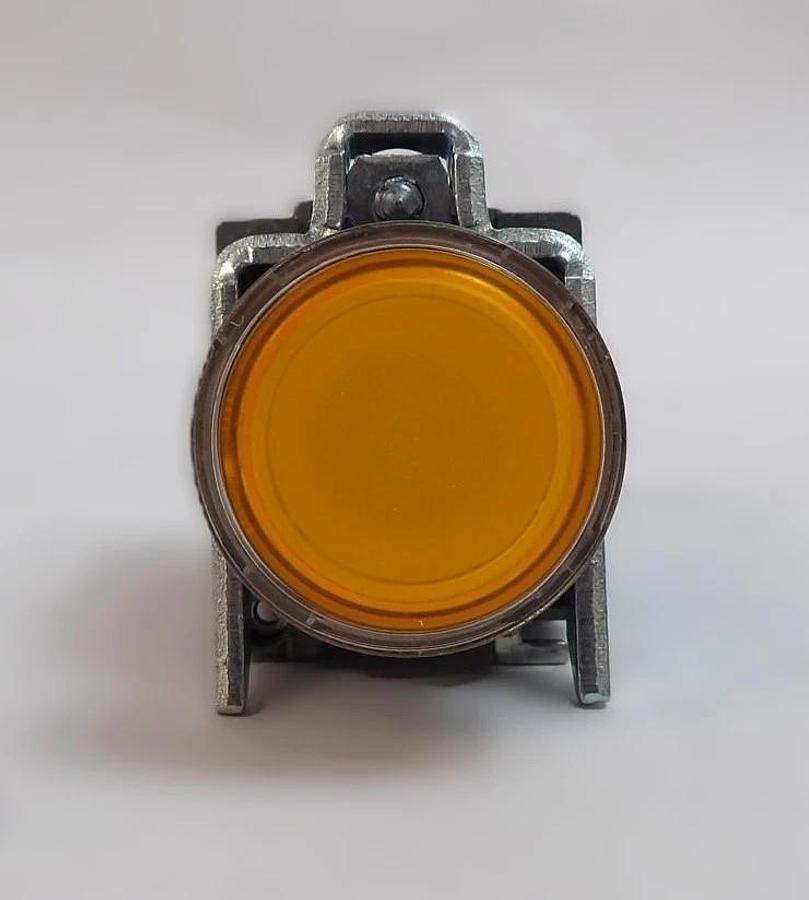 Used Schneider Electric XB4BW35B5 LED 22mm Push Button Switch Lot of 12 Working