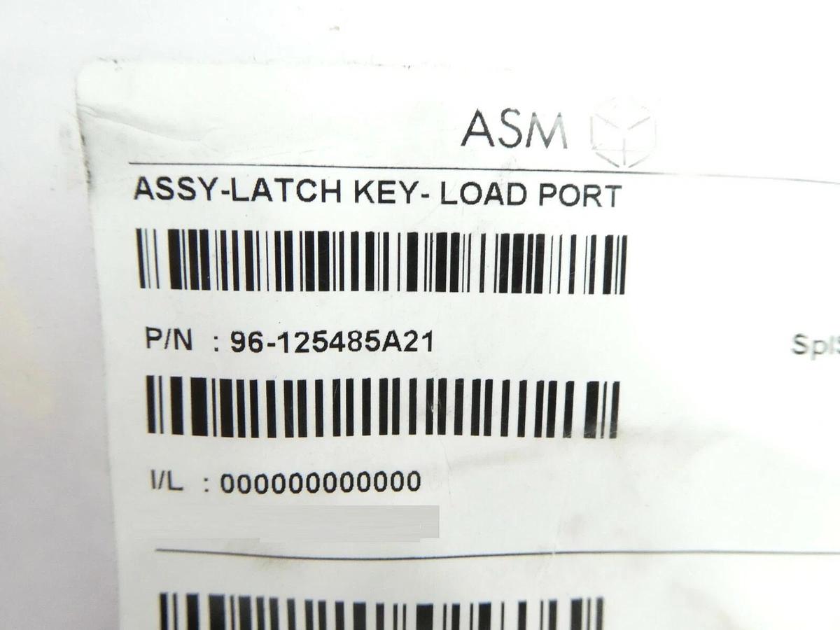 ASM Advanced Semiconductor Materials 96-125485A21 Load Port Latch Key Kit New