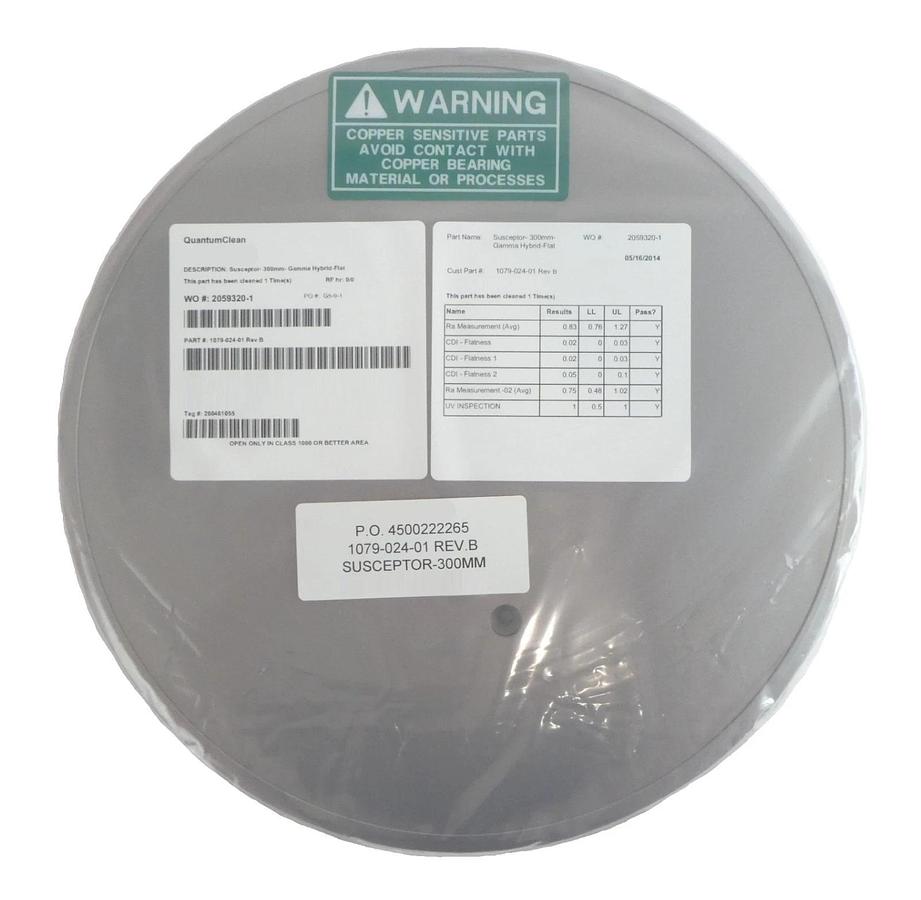 QuantumClean 1079-024-01 300mm Susceptor Gamma Hybrid Flat New