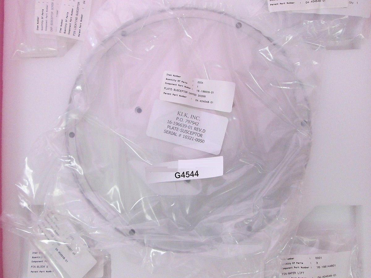 ASM 04-404548-01 SUSCEPTOR 300MM CAPPED