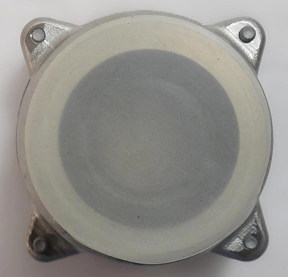 Edwards M56104054 iXH Series PTFE Check Valve Assembly New Surplus