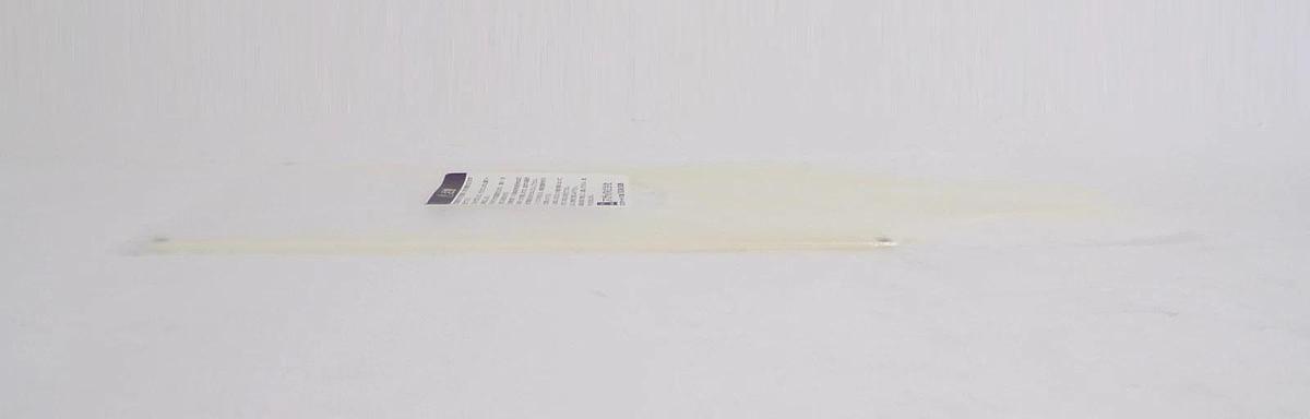 TEL Tokyo Electron 5010-530318-11 300mm FORK MRAS & CP End Effector New Surplus
