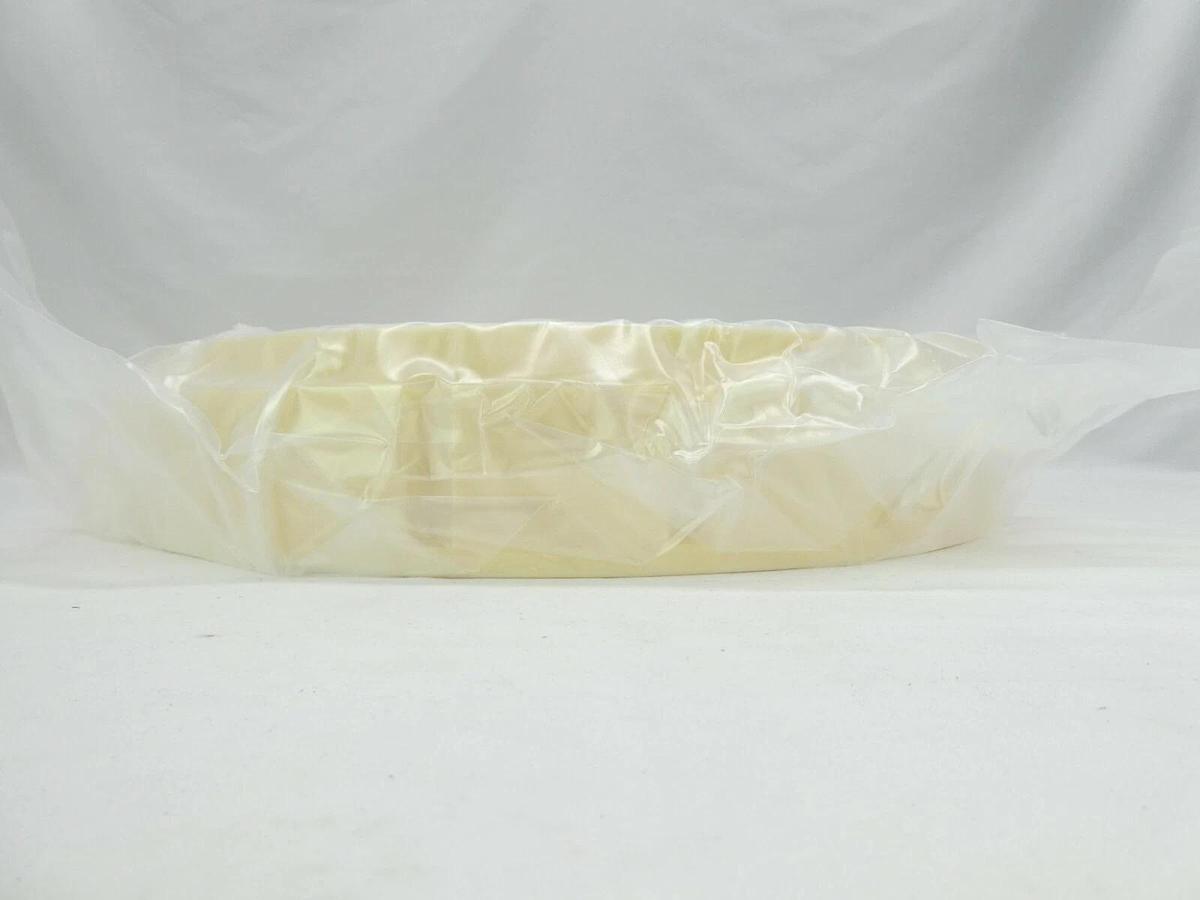 Pentagon Technologies 500236841 Cleaned Housing Bottom CL-RE3Z10-20012-V1 New