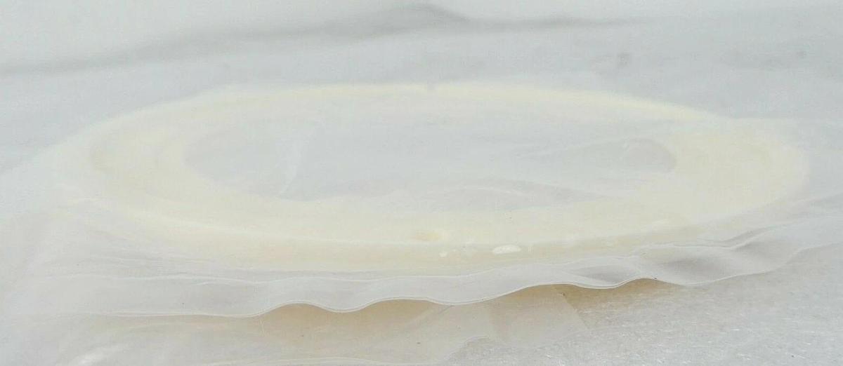 Novellus Systems 15-024346-00 100mm Ceramic Pedestal Ring New Surplus