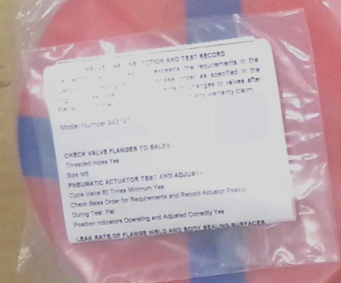 Ebara Technologies 943197 4" Manual Gate Valve IPN 500241157 New Surplus