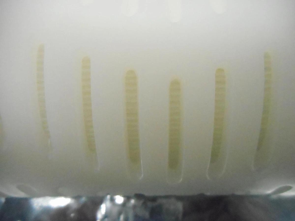 Mykrolis GHPV01PLT Filter Guardian HP 10" 0.1µm Reseller Lot of 4 New Surplus
