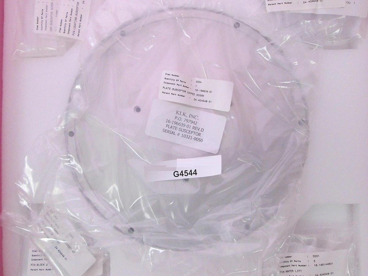 ASM 04-404548-01 SUSCEPTOR 300MM CAPPED
