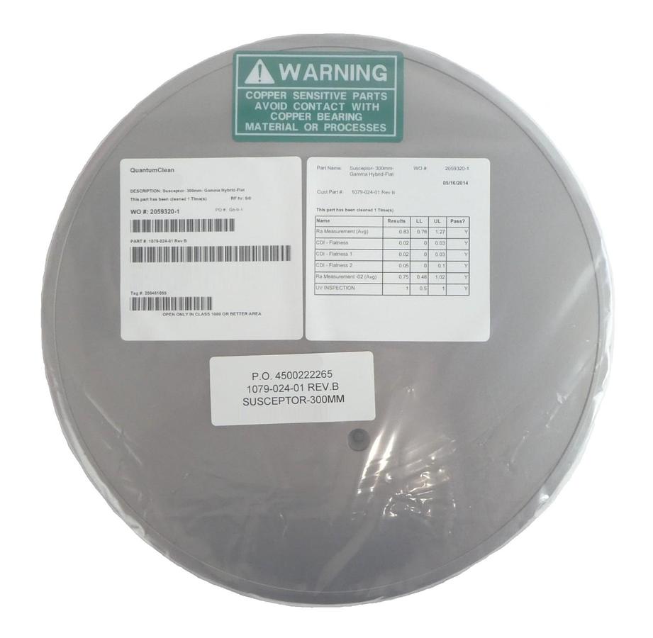 QuantumClean 1079-024-01 300mm Susceptor Gamma Hybrid Flat New