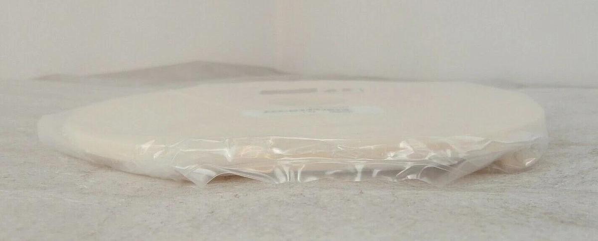 Coorstek 2450000300 Insulator Disk Mattson 245-00003-00 Aspen II Aspen III New