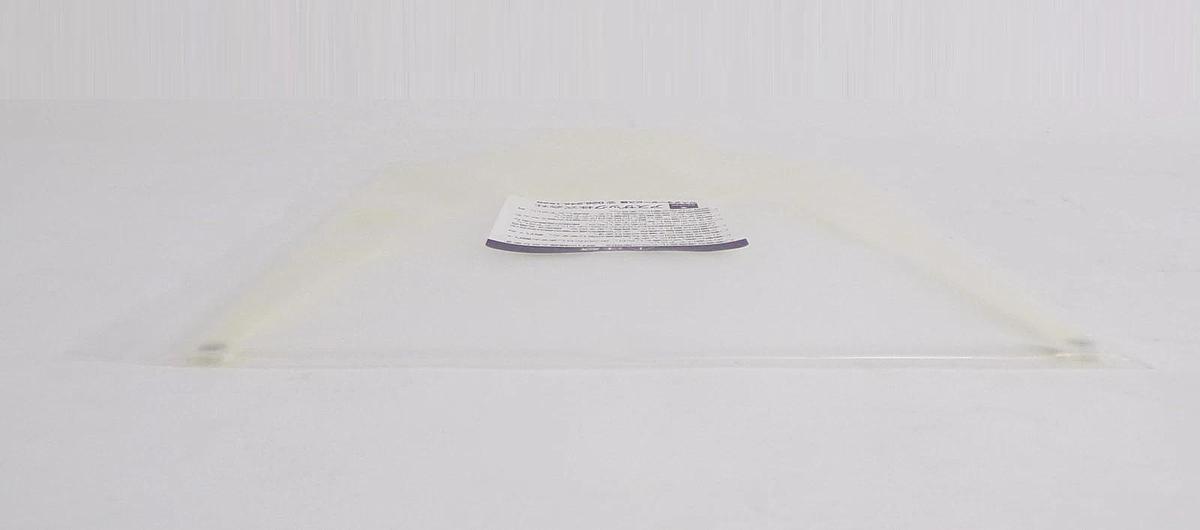 TEL Tokyo Electron 5010-530318-11 300mm FORK MRAS & CP End Effector New Surplus