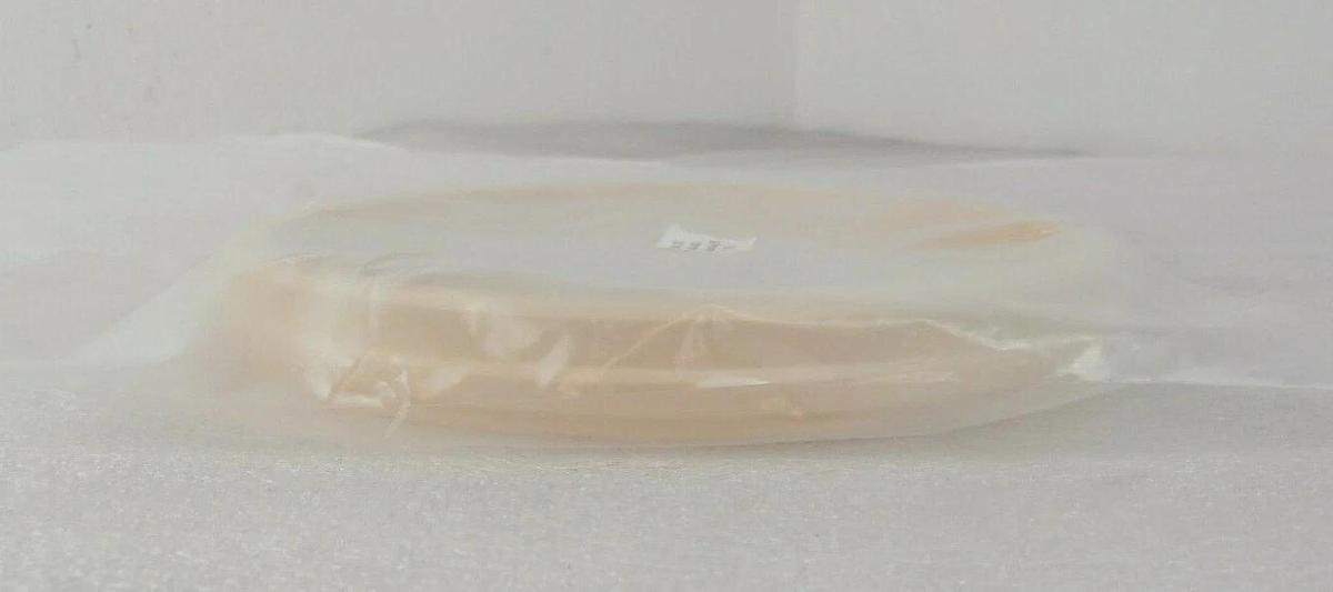 SPM Technology SPM-16020 Speedfam PPS Guide Ring 364067 / 17098 New Surplus