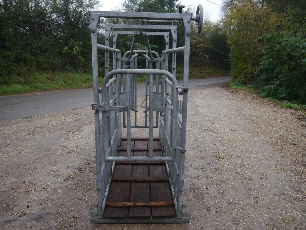 Used Loddon Cattle Crush