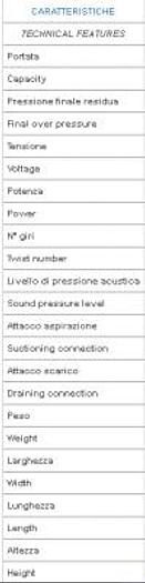 DBS 200 – DBS 250 Pompa per vuoto a palette a secco