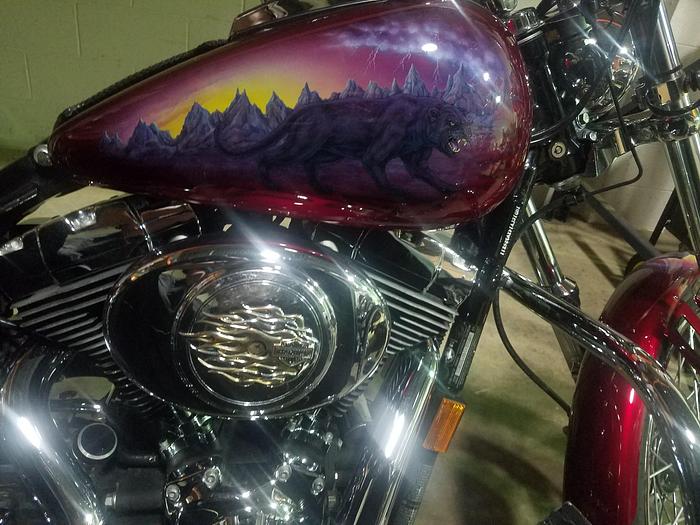 Used Dyna Wide Glide FXDWG Custom Harley Davidson