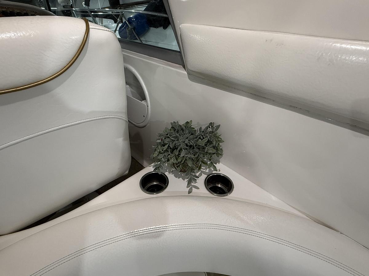 Used 2000 Sea Ray 310 Sundancer