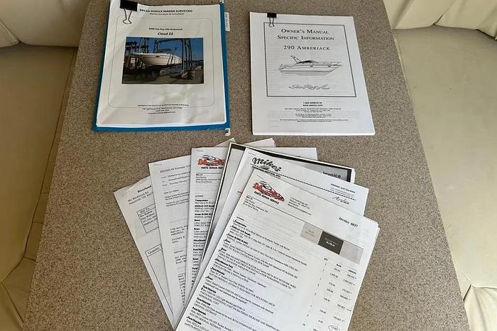 Used 2000 Sea Ray  290 Amberjack