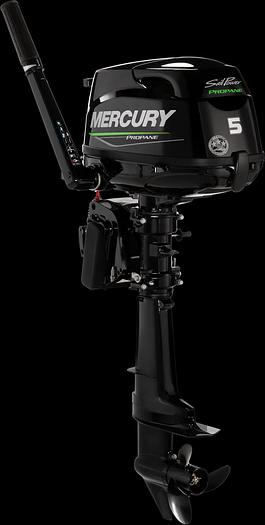 FourStroke Propane 5hp