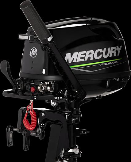 FourStroke Propane 5hp