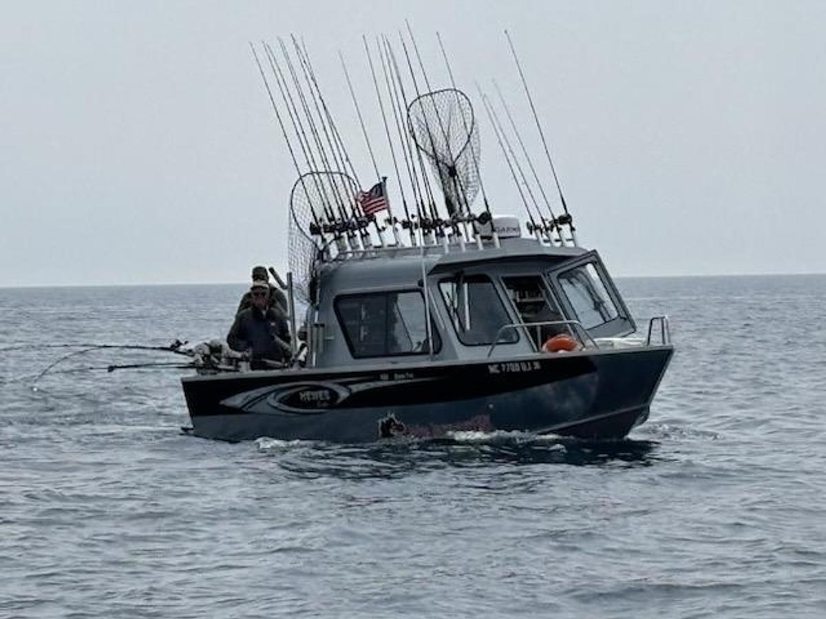 Used 2019 Hewescraft 220 Ocean Pro Hardtop