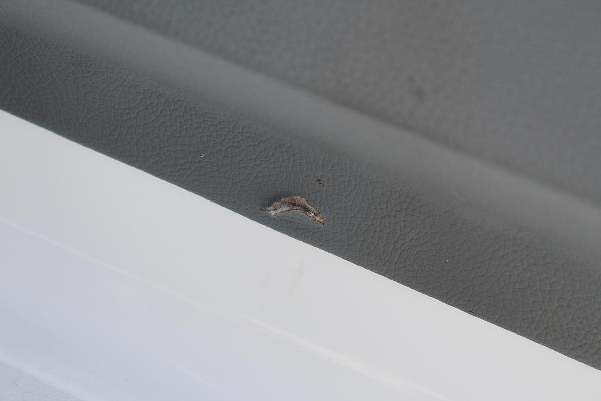 Used 2007 Cobalt 222 BR