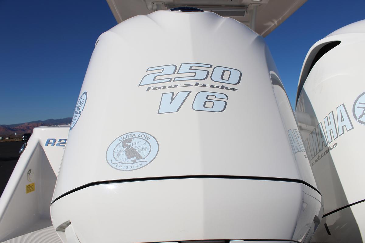 Used 2020 ROBALO R272
