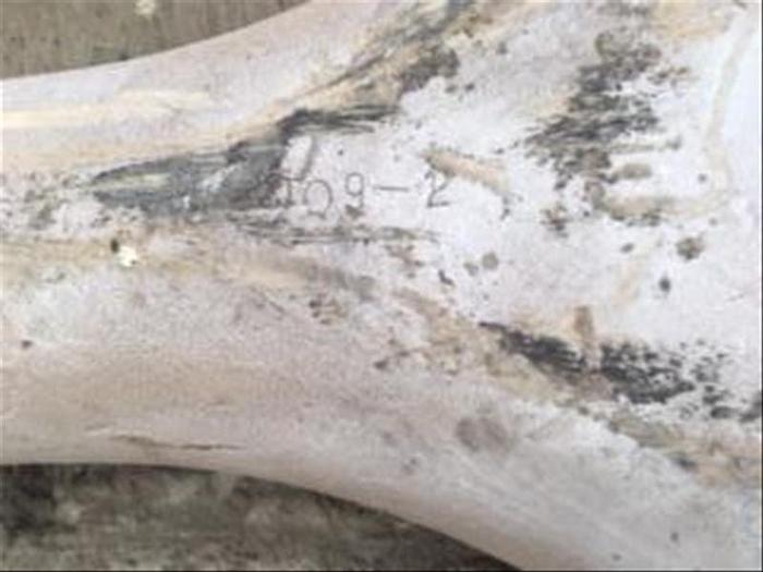 Used Drill Collars & Pipe